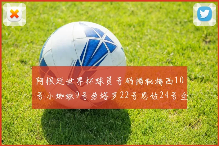 阿根廷世界杯球员号码揭秘梅西10号小蜘蛛9号劳塔罗22号恩佐24号全解析