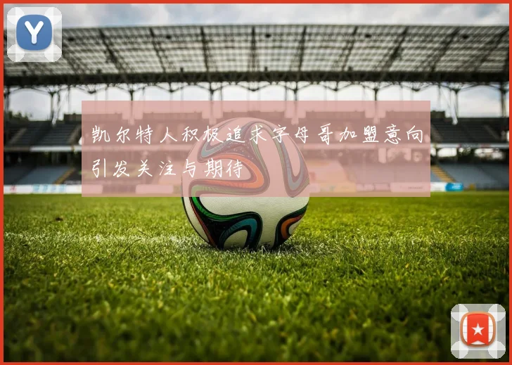 凯尔特人积极追求字母哥加盟意向引发关注与期待