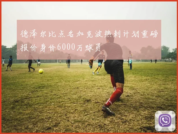 德泽尔比点名加克波热刺计划重磅报价身价6000万球员