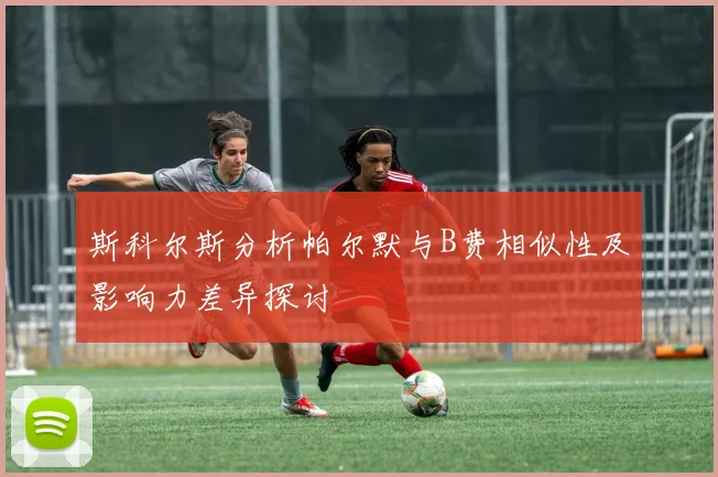斯科尔斯分析帕尔默与B费相似性及影响力差异探讨